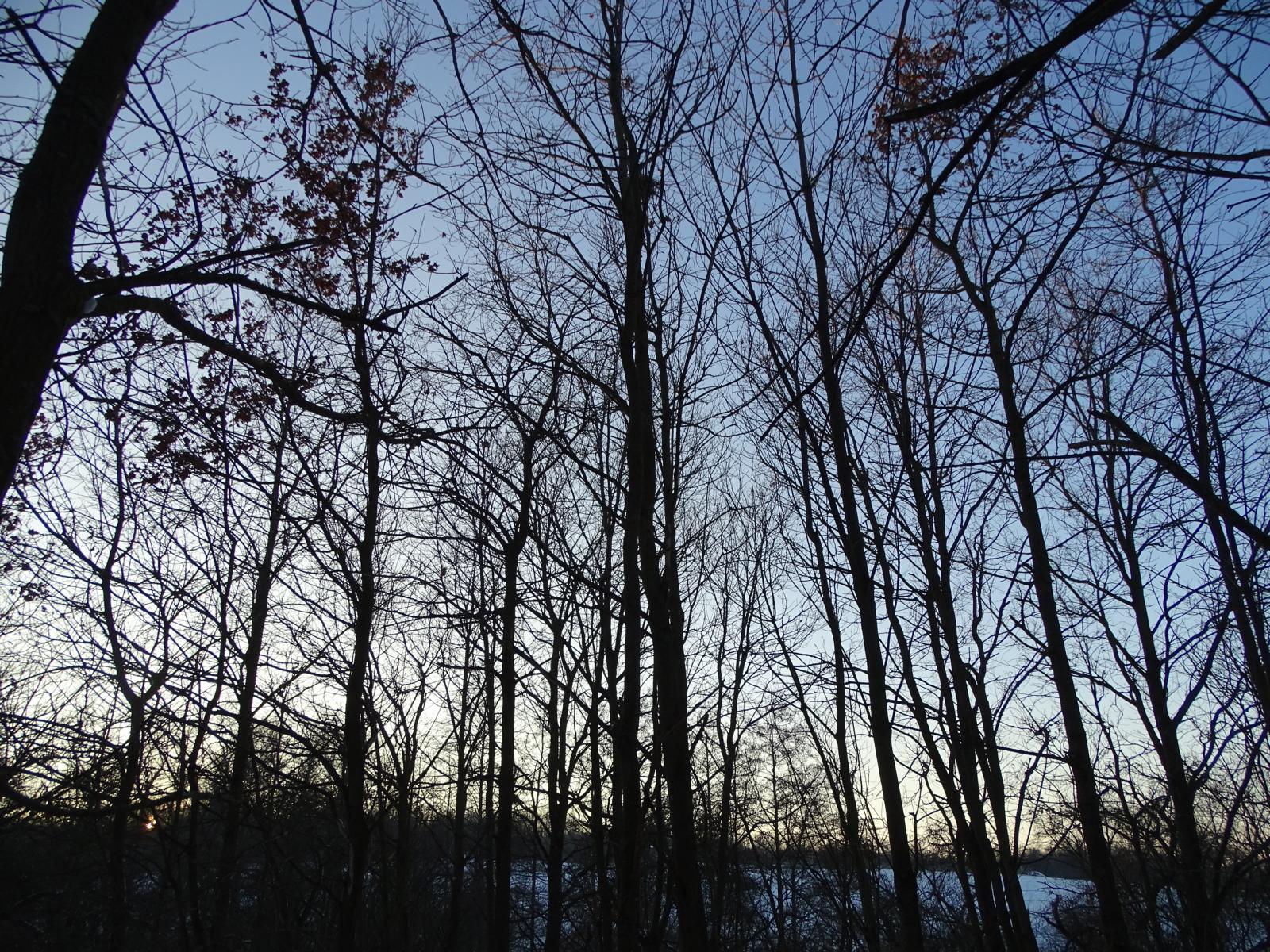 DSC04089.jpg
